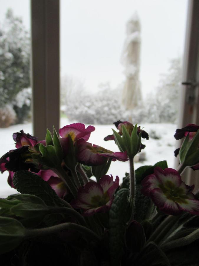 Monte Maino Bed & Breakfast