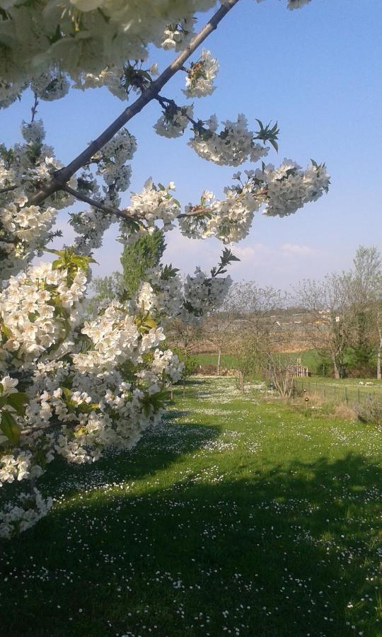 Monte Maino Bed & Breakfast